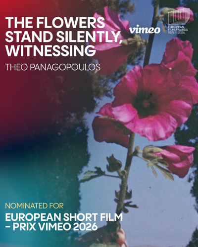 The flowers stand silently, witnessing, Theo Panagopoulos