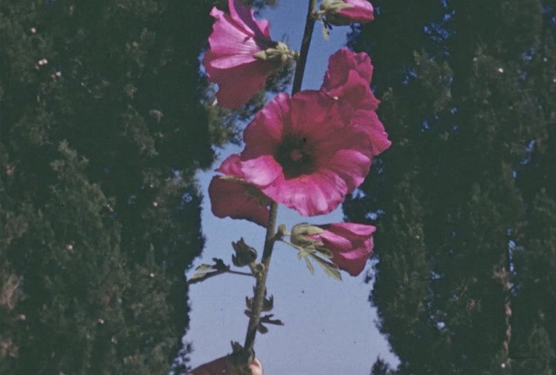 TFSSW Still 2 Web (1)