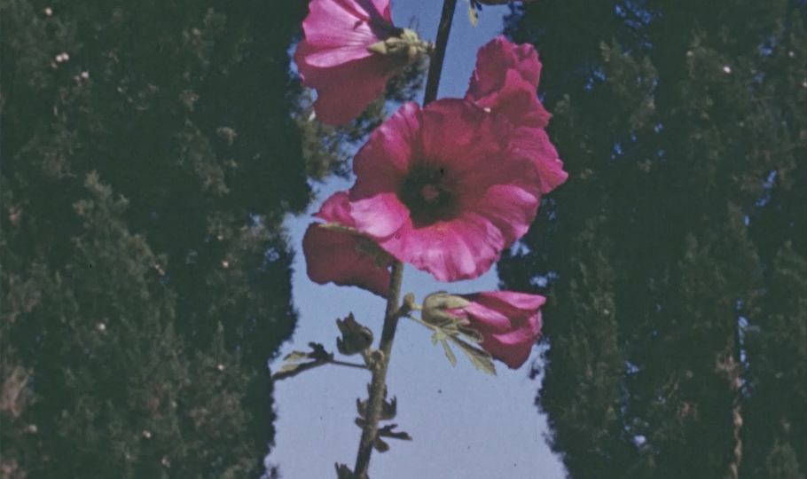 TFSSW Still 2 Web (1)